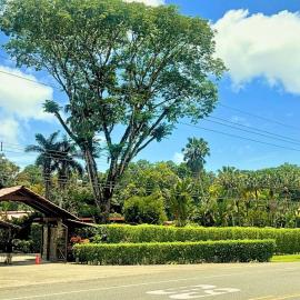 La Foresta Nature Resort, hotel a Quepos