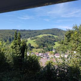 Das Tor zum Odenwald