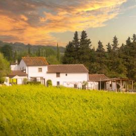 Azienda Agricola I Colli di Marliano