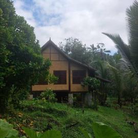 Jungle Haven - Private Riverside