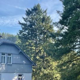 Etzauer Mühle im Taunus, Suite