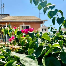 Traditional Corfiot House