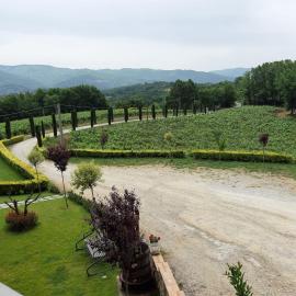 Colle Vermiglio, hotel u gradu Paterno Calabro