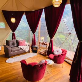 Felisa Rainforest Domes