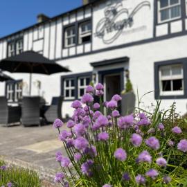 The Plough