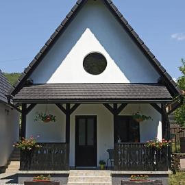 Zöld Tulipán