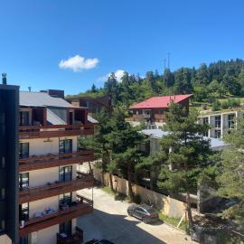 Bakuriani inn Apartment