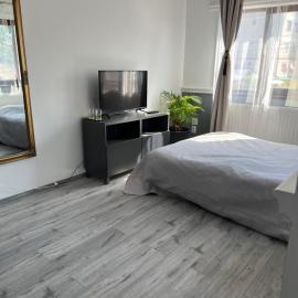 Felix, hotell i Bălceşti