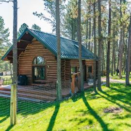 Pine Cabin, hotel in Custer