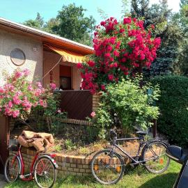 Grüner Bungalow am Kiebitzsee, hotelli kohteessa Falkenberg