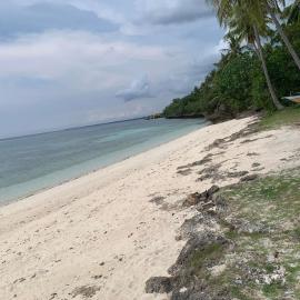 Himensulan में, होटल palanas white sand beach resort