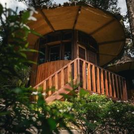 Eco Conservation Landak Luxury Tents, ξενοδοχείο σε Bukit Lawang