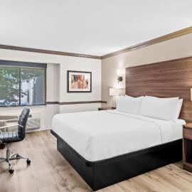 Best Western Maple Ridge, Hotel in Distriktgemeinde Maple Ridge