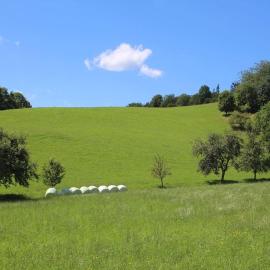 Idyllisches Haus mit Garten und Saunahütte in der Natur, hotell sihtkohas Aigen