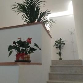 Valdambra B&B, hotel ad Ambra