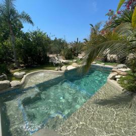 Tropical Oasis