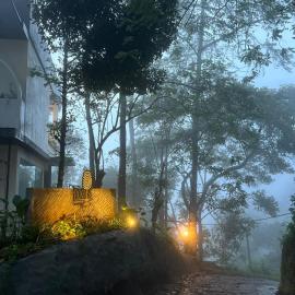 Roots Munnar