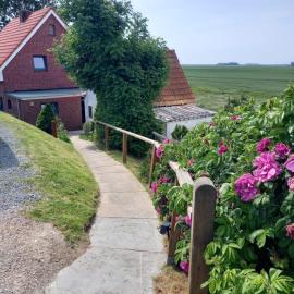 Schooster Huus, hotel in Nordstrand