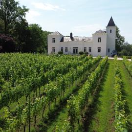 WijnKasteel Haksberg, Hotel in Tielt-Winge