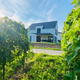 Haus im Weinberg