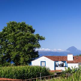 Casas Dos Vimes, hotel in Fajã dos Vimes