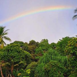 Vista Alta Ecolodge Bahia Drake
