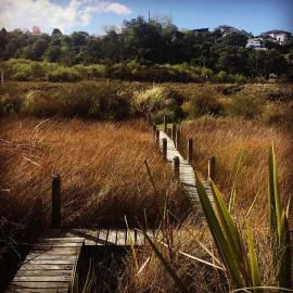 Uniqueness, hotel i Tauranga