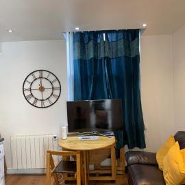 Basic one bed comfy apt