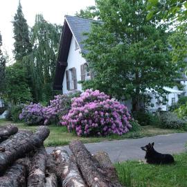 Reckershausen में, होटल Privatzimmer im Landhaus mit großem Garten und Parkplatz