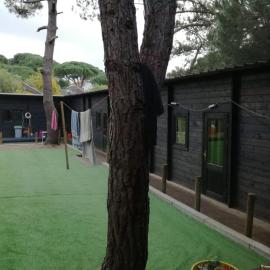 Surf Camp Ecológico, hotel em Costa da Caparica