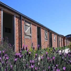 Dusty Hill Vineyard - Moffatdale, hotel in Moffatdale