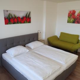Ubytování Hanka v pokoji s bakónem C408, hotel din Frymburk