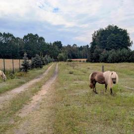 Hacienda Natura Agroturystyka