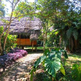 Cabañas Awana, hotel em Río Arajuno