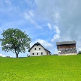 Ferienwohnung Hochtal, hotel in Göstling an der Ybbs
