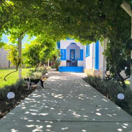 Casa Traditionala Clisciova, hotell i Murighiol