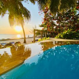 Mangrove Lodge, hotell i Zanzibar City