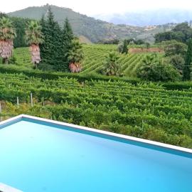Casa das Feitorias Douro Valley, hotel din Baião