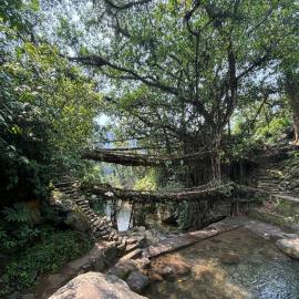 Odyssey Stays Nongriat - 3Kms trek from Main Road, hotel in Cherrapunji