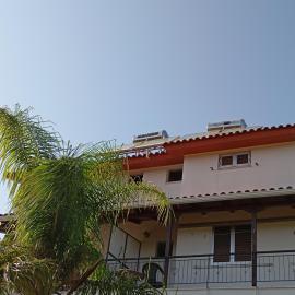 THE PALM ROOMs