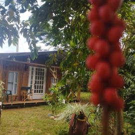 Hostal La Cabaña، فندق في Mesetas