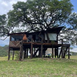 Hangar 5 La Casita del Arbol
