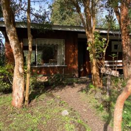 Cabañas el Bosque Patagónico, hotel in Frutillar