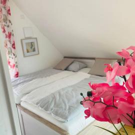 Apartment Scholle Steinbeck, hotel em Recke