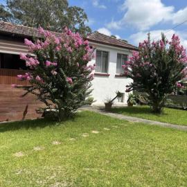 MJED House Australia