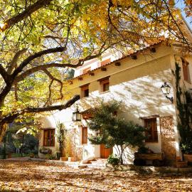 Cortijo De Ramón