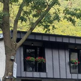 Pensiunea Casa Dimitrios-Baile Herculane -Casă Boemă cu vedere la munte apă atmosferă intimă, hotel a Băile Herculane