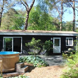 Diever में, होटल Mooi 4p Wellness chalet in het Bos met finse Sauna en Hottub