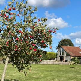 The Hayloft at Stathe Farm
