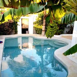 Kikadini Villa with private pool